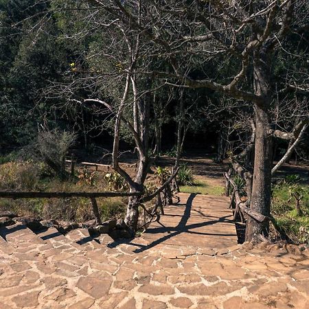 Anew Resort Ingeli Forest Kokstad Kokstad  Eksteriør billede