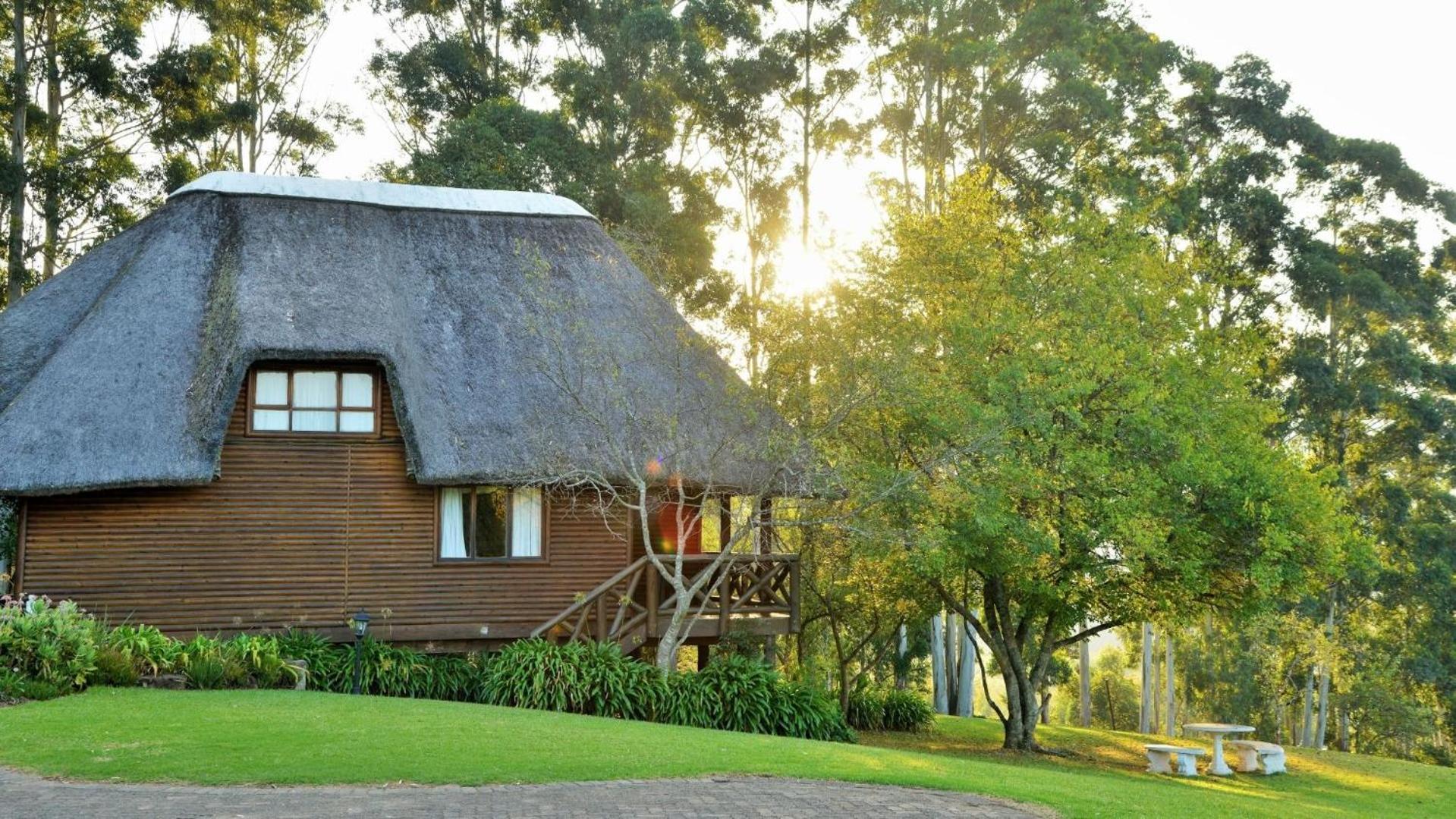 Anew Resort Ingeli Forest Kokstad Kokstad  Eksteriør billede